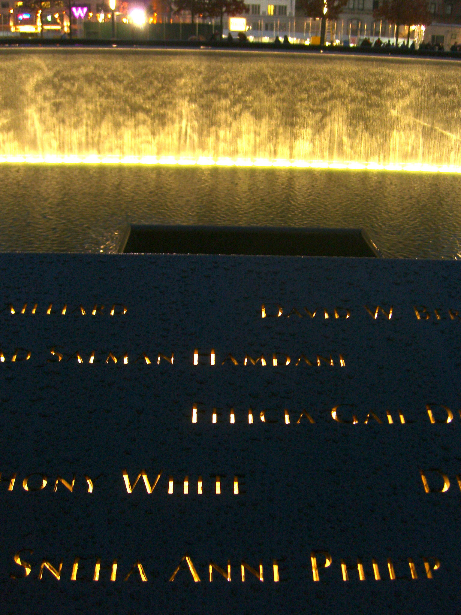 National September 11 Memorial Panel S-66 Sneha Anne Philip