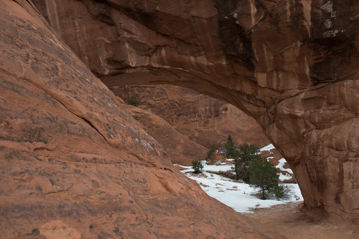 Sandstone fins of Arches National Park Utah