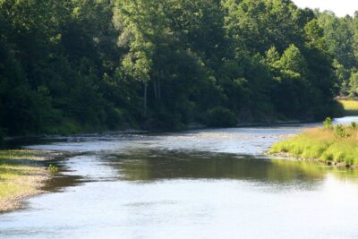 Arthur Shawcross: The Genesee River Killer, Forensic Bite Mark Analysis & The Monroe County Helicopter Manhunt
