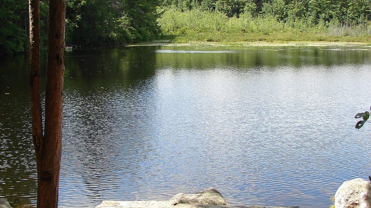 The Bear Brook Murders: How DNA Unmasked the Chameleon Killer Terry Rasmussen