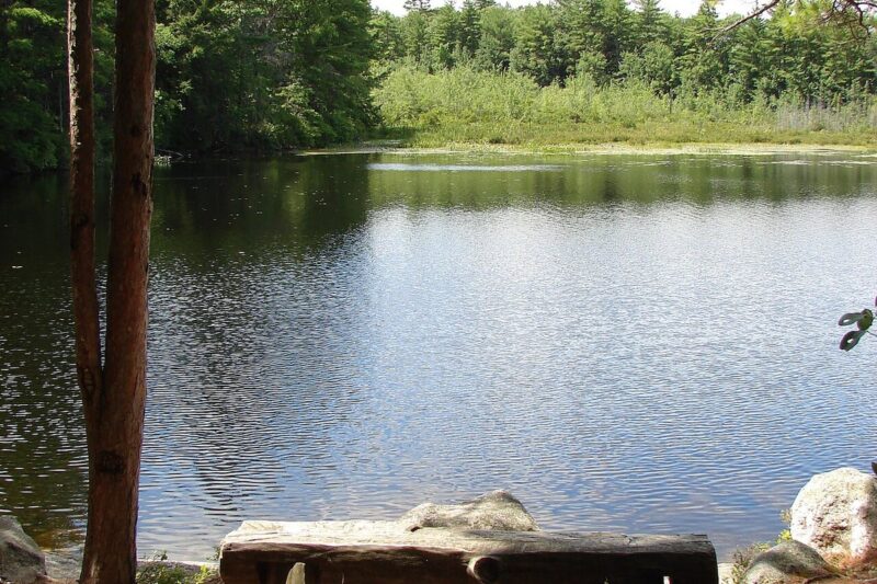 The Bear Brook Murders: How DNA Unmasked the Chameleon Killer Terry Rasmussen