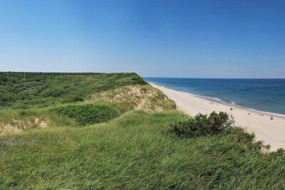 Unmasking the Lady of the Dunes: How FBI & DNA Solved Ruth Marie Terry 1974 Cold Case