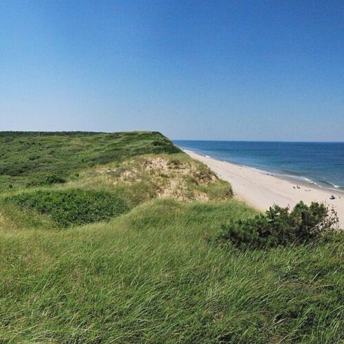 Unmasking the Lady of the Dunes: How FBI & DNA Solved Ruth Marie Terry 1974 Cold Case