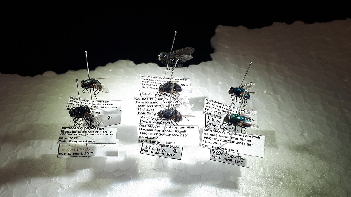 Forensic Entomology Decomposition Research Laboratory