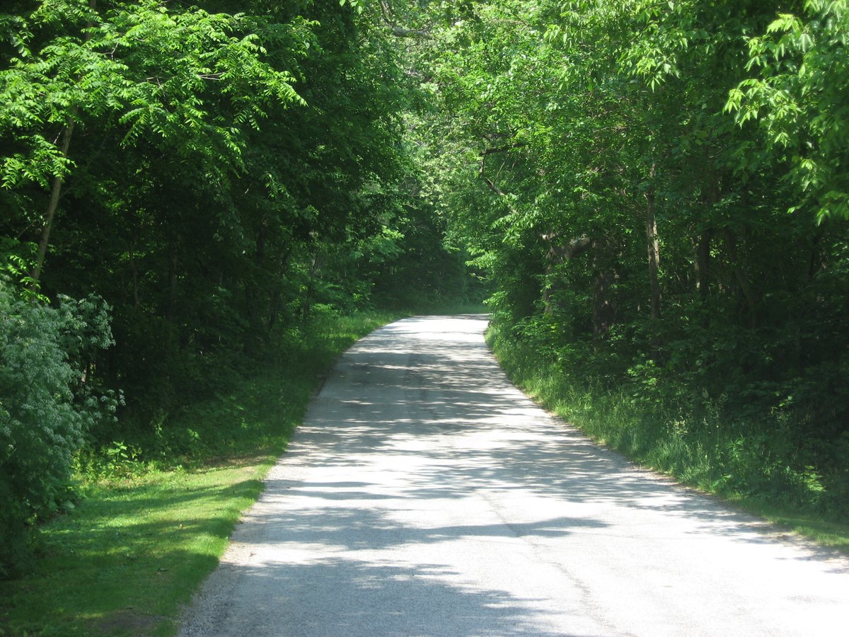 Deer Creek Ravine Delphi Indiana