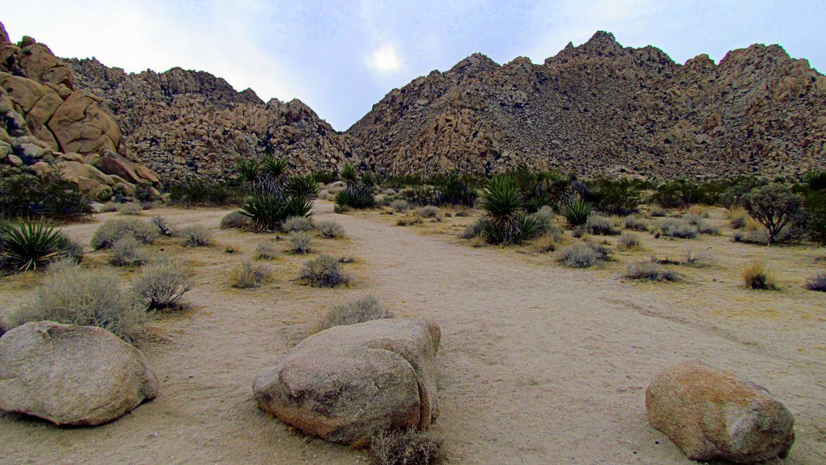Indian Cove Joshua Tree National Park Laura Bradbury