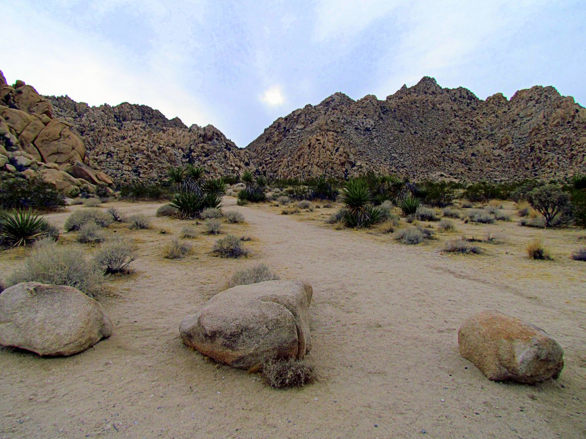 Indian Cove Joshua Tree National Park boulders