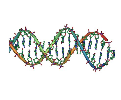 Forensic DNA Laboratory STR Sequencing Equipment
