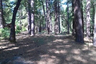 Keddie Cabin 28 Murders: The 1981 Plumas County Resort Triple Homicide & Missing Daughter Mystery