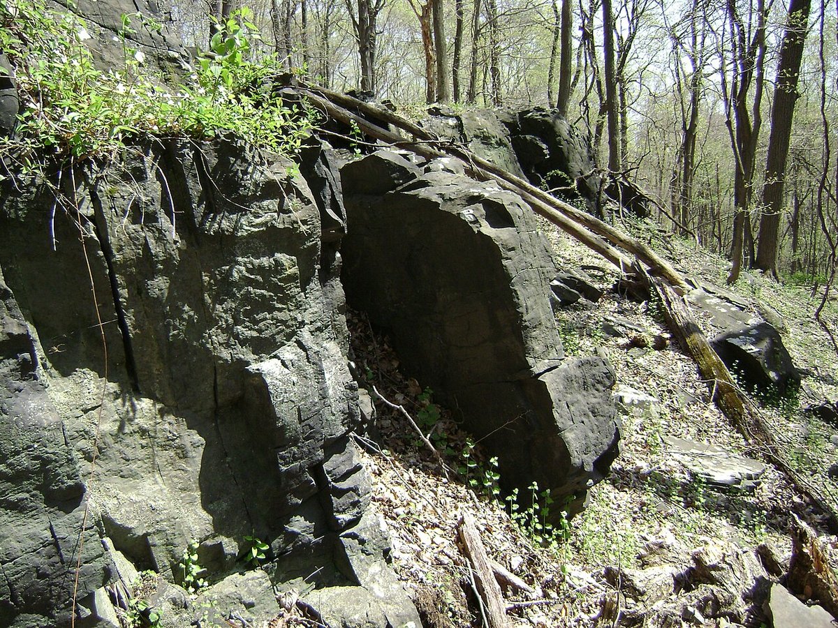 Sourland Mountain Wilderness Forest Hopewell New Jersey