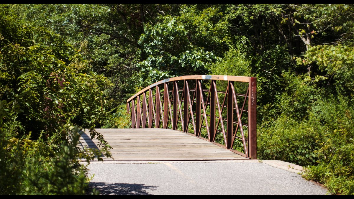 Massapequa Park Long Island Community