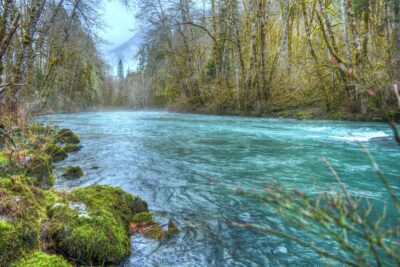The Hoh River Disappearance: The Pete Daniels Olympic Mystery (1975)