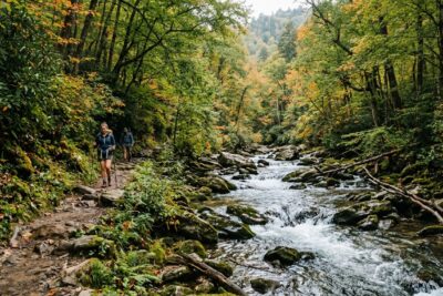 The Silent Vanishing of Polly Melton: Great Smoky Mountains (1981)