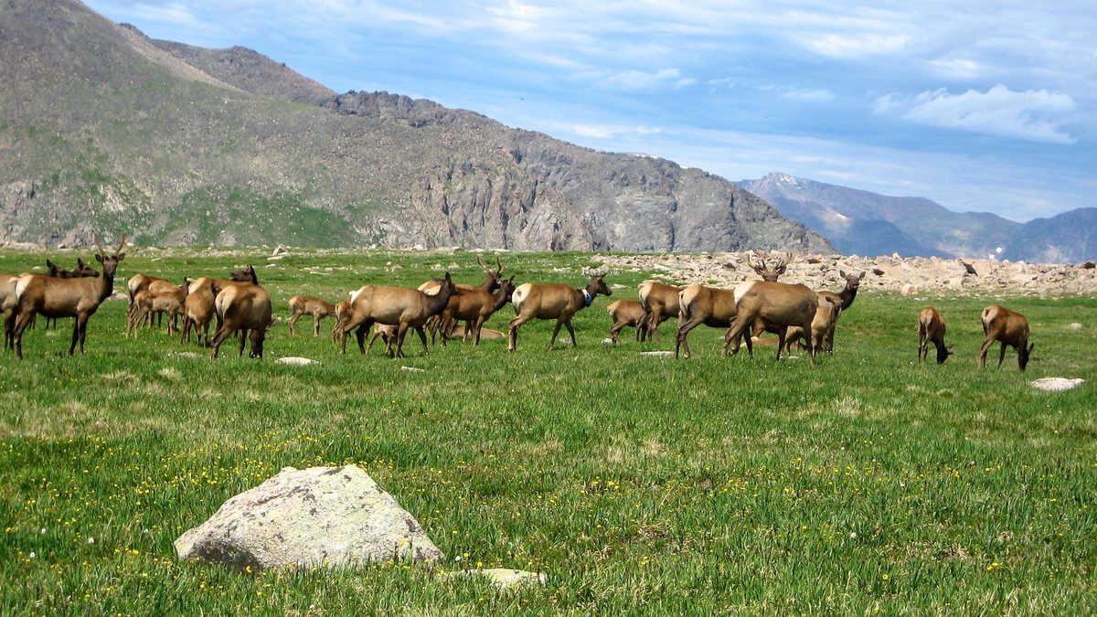 Flattop Mountain Trail Rocky Mountain National Park Joseph Halpern