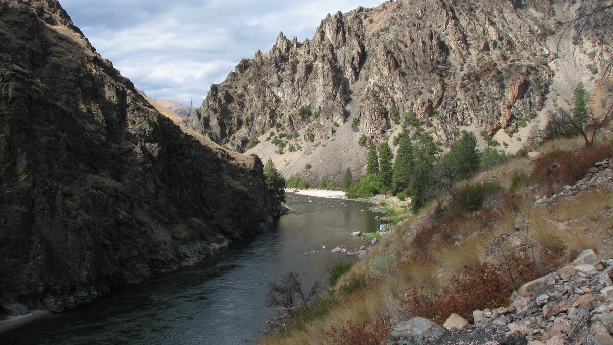 Salmon-Challis National Forest Leadore Idaho
