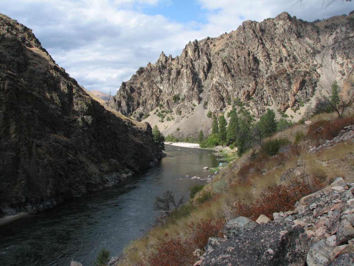 Salmon-Challis National Forest Leadore Idaho