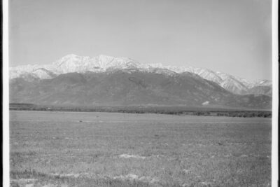 The Boy Scout on Mount San Gorgonio: The Jared Negrete Mystery (1991)