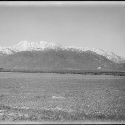 The Boy Scout on Mount San Gorgonio: The Jared Negrete Mystery (1991)