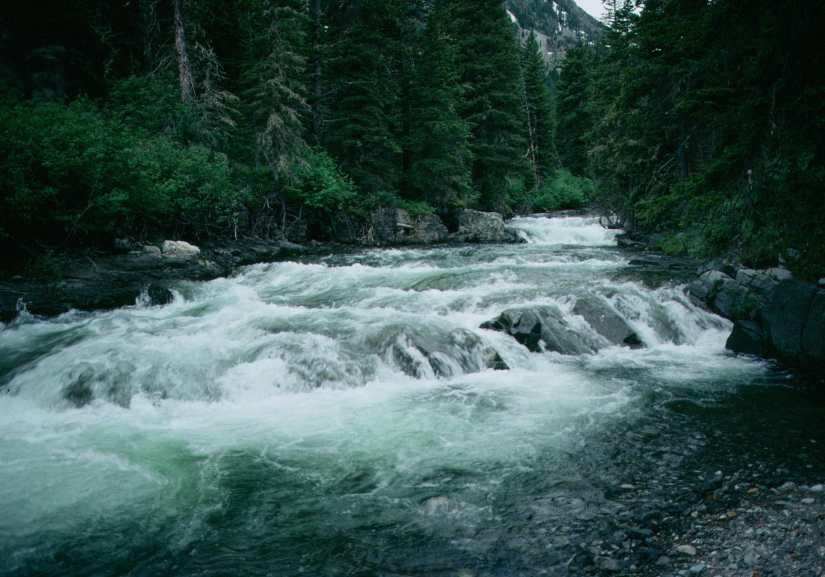 Timber Creek Wilderness Drainage Basin Idaho