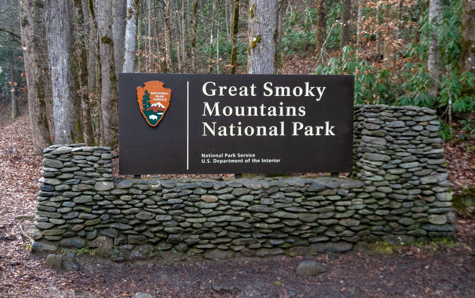 Misty mountain ridges and morning fog rising across Great Smoky Mountains National Park