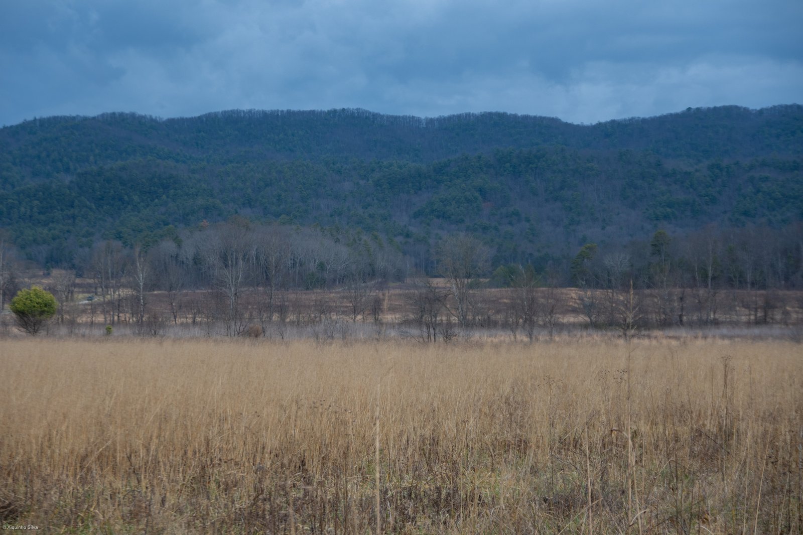 High elevation ridge and mountain trails at Spence Field along the Appalachian Trail